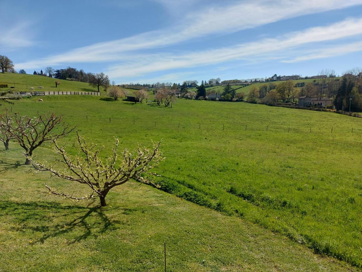 Gite Stone & Spa Chasselay Extérieur photo